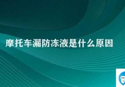 摩托车漏防冻液是什么原因(摩托车漏防冻液的原因及解决方法)