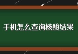 手机怎么查询核酸结果(手机如何查询核酸结果)