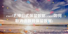 excel去掉公式保留数据(excel如何取消函数并保留数据)