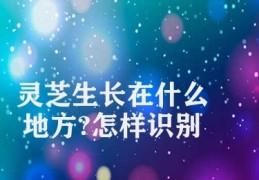 灵芝生长在什么地方?怎样识别?(灵芝识别技巧)