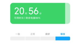 小米手机电池寿命怎么看（如何查看小米手机的电池健康度）