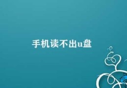 手机读不出u盘(手机无法读取U盘的原因及解决方法)