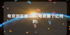 夸克浏览器cookie(夸克哪个公司的)