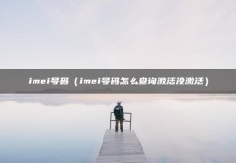 imei号码（imei号码怎么查询激活没激活）