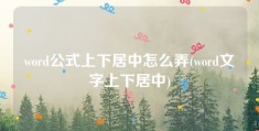 word公式上下居中怎么弄(word文字上下居中)