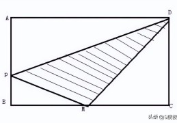 扇形的周长公式是什么(小学生数学公式大全)