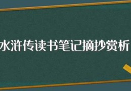 水浒传读书笔记摘抄赏析(关于水浒传读书笔记摘抄赏析)