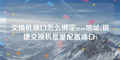 交换机端口怎么绑定mac地址(锐捷交换机批量配置端口)