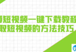 微博解析视频下载(怎么下载新浪视频到电脑)