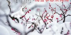 梅雪争春未肯降下一句(梅雪争春未肯降)