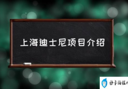 上海迪士尼项目介绍(上海迪士尼有什么游乐项目？)