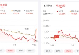 2024年基金收益率21.33%，错过2700点之后的投资收获与教训