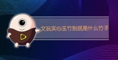 文玩实心玉竹(文玩实心玉竹是什么)