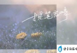 我也渴望有人哄有人宠是什么歌(出自歌曲提笔忘情)