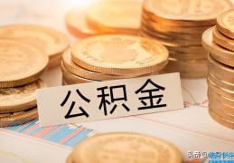 个人缴纳公积金划算吗?(住房公积金可以自己交吗)