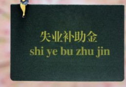 疫情补助金怎么领取微信(疫情补助金怎么领取)