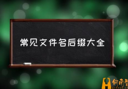 word文件名和扩展名有啥区别？(常见文件名后缀大全)