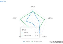 淘宝直通车技巧（直通车详细推广方案）