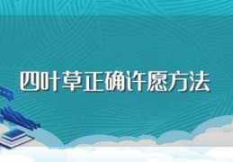 四叶草正确许愿方法(用四叶草怎么许愿？)