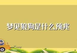 梦见狼狗是什么预兆(梦见狼狗梦境解析)