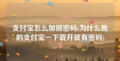 支付宝怎么加锁密码(为什么我的支付宝一下载开就有密码)