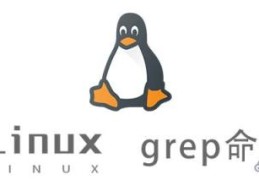 Linux grep命令怎么使用