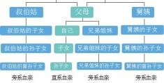 姑姑和侄女是什么关系称呼，填写侄女对不对