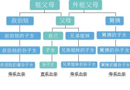 姑姑和侄女是什么关系称呼，填写侄女对不对