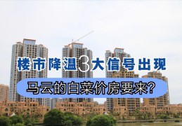 马云为啥说2025年房价如葱(房地产行业的发展现状和前景论文)