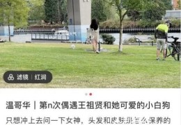 网友温哥华偶遇王祖贤遛狗(背面看上去还是个少女哇)