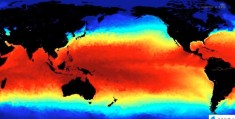 今秋将形成中等强度厄尔尼诺事件
