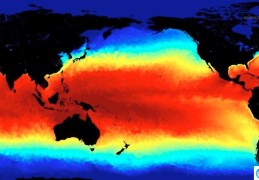 今秋将形成中等强度厄尔尼诺事件