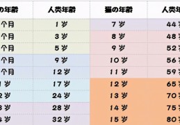 猫3岁相当于人多少岁 (猫咪最新年龄对照表)