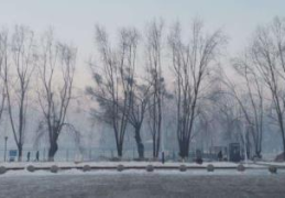 下雪了高情商回复(下雪高情商发圈句子有哪些)