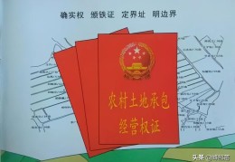 父母过世承包土地经营权解释(民法典土地承包经营权可以继承吗)