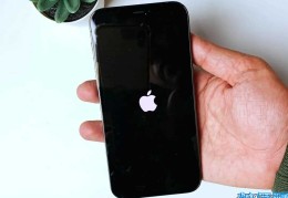 白苹果除了刷机还能怎样修复(iphone132白苹果怎么办解决)