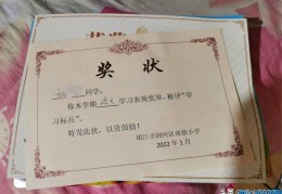 大学可以编的获奖情况(学生100个奖项名称幼儿园)