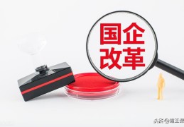 国企怎么招人的(国企怎么进)