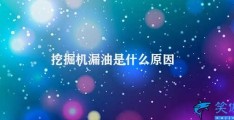 挖掘机漏油是什么原因(如何有效避免挖掘机漏油)