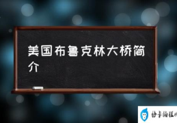 美国布鲁克林大桥简介(布鲁克林大桥怎么样？)