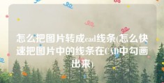 怎么把图片转成cad线条(怎么快速把图片中的线条在CAD中勾画出来)