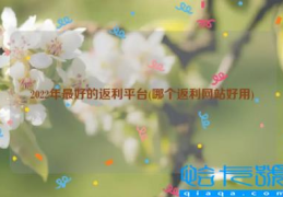 2022年最好的返利平台(哪个返利网站好用)