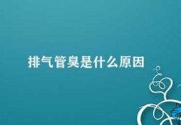 排气管臭是什么原因(排气管异味的成因及解决方法)