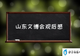 山东文博会观后感(临沂文博会时间表？)