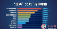 年轻人不再首选大城市的原因是什么(大城市和小城市如何选择)