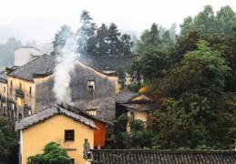 忆着烟村旧风景，写的是什么？(树高百尺落叶归根意思)