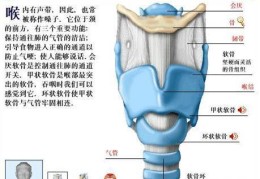 嵌顿怎么读拼音(嵌顿怎么读kan)