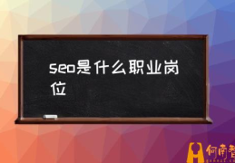 seo值是什么意思？(seo是什么职业岗位)