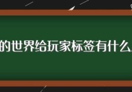 我的世界给玩家标签有什么用(我的世界给玩家标签可以用在什么地方)