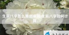 生辰八字怎么算出来的(生辰八字如何计算)